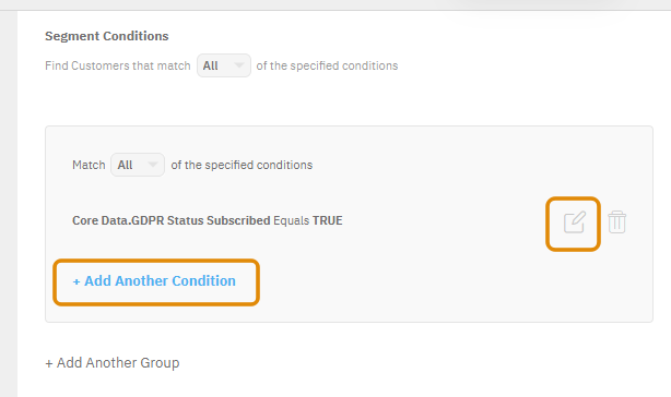 Screenshot of the Distil Customer Data Platform showing how to create, edit and delete a segment condition in the user interface