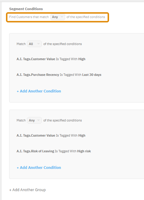 Screenshot of the Distil Customer Data Platform showing how to group segment conditions using the ANY function